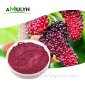 Polvo MulBerry púrpura liofilizado de extracto de fruta